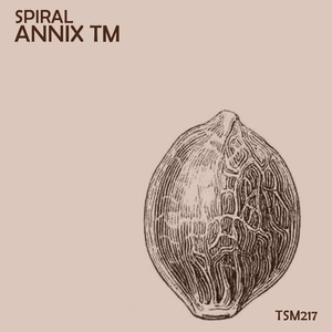 Spiral (Original Mix)