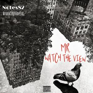 Mr. Watch the View (Explicit)