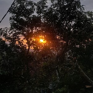 Natural Beauty (Acoustic)