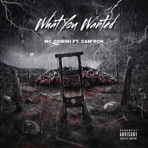 what you wanted (feat. Cam'ron) [Explicit]