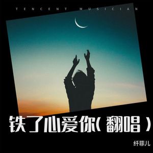 你是我的温柔封面