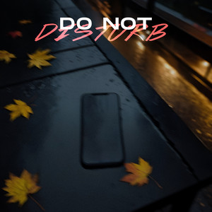 DO NOT DISTURB (Explicit)