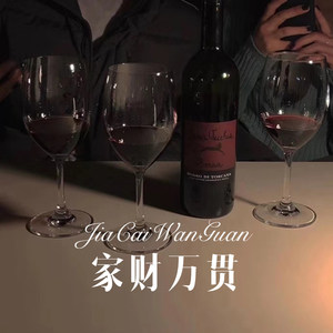 那时年少 (DJ版)