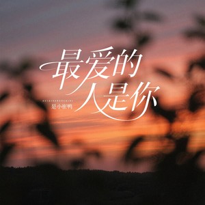 最爱的人是你 (韩语版)