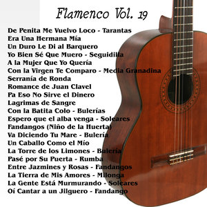 Flamenco Vol. 19