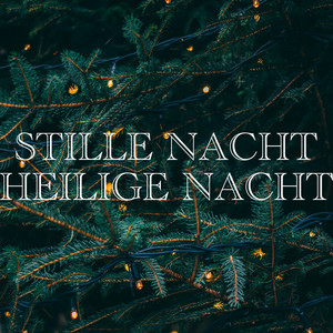 Stille Nacht Heilige Nacht (Dulcimer)