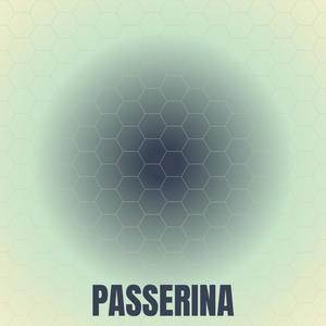 Passerina