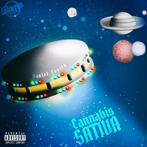 Cannabis Sativa (Explicit)