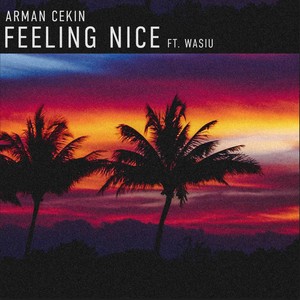 Feeling Nice (Explicit)