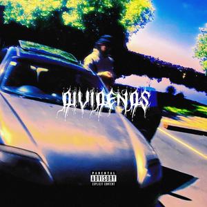 DIVIDENDS (Explicit)