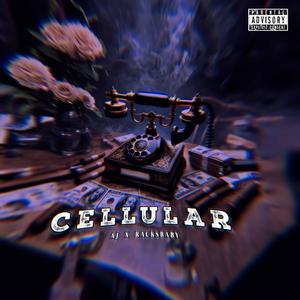 Cellular (feat. Racksbaby) [Explicit]