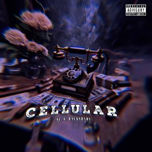 Cellular (feat. Racksbaby) (Explicit)