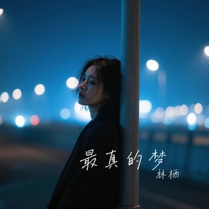 最真的梦-林栖