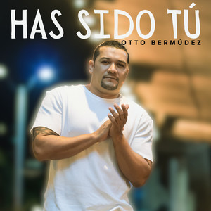 Has sido tú