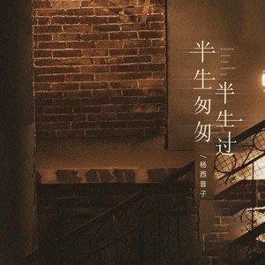 半生匆匆半生过（女版）