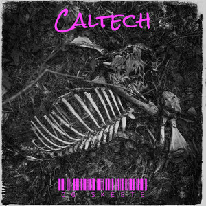 Caltech (Explicit)