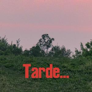 Tarde... (Ya no estoy en Bogotá)