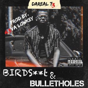 BirdShit & BulletHoles (Explicit)