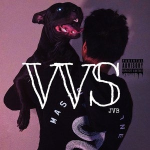 VVS (Explicit)