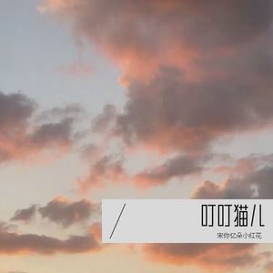 叮叮猫儿