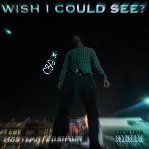 Wish I could see? (Explicit)