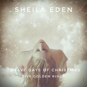 Twelve Days of Christmas (Five Golden Rings) (feat. Shaun Hettinger)