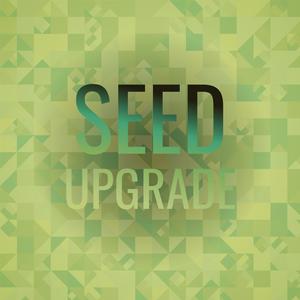 Seed Upgrade