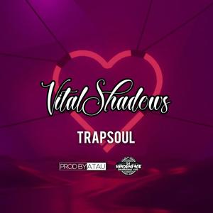 TRAPSOUL (feat. VITALSHADOWSBEATS & DJ SHADOWFACE)