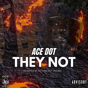 They Not (feat. Ace Dot) (Explicit)
