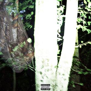 Call Yo Brudda (feat. Benjifvr) (Explicit)