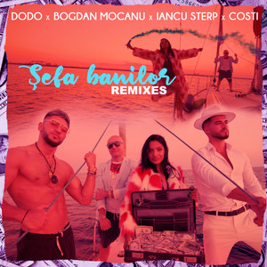 Șefa banilor (Koss & Adrian AMS Extended Remix)