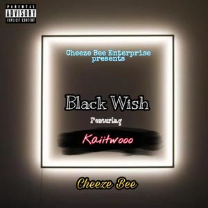 Black Wish (feat. Kaiitwooo) (Explicit)