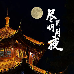尽望明月夜