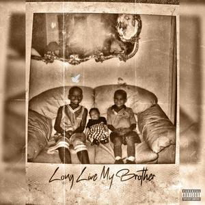 LONG LIVE MY BROTHER (IM BROKEN) (Explicit)