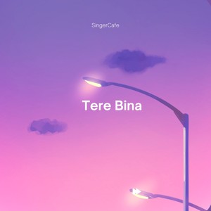 Tere Bina Singercafe