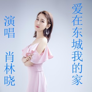 爱在东城我的家 (广场舞版)