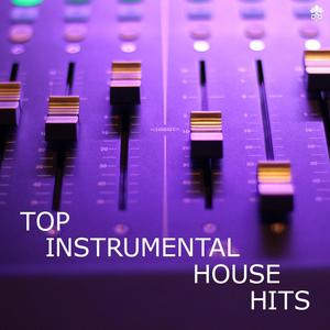 Top Instrumental House Hits