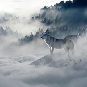 Storm in Siberia