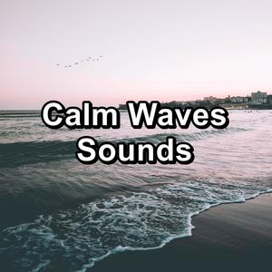 Sleepy Sea Sounds With Nature Sounds For Taking a Nap