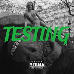 TESTING (Explicit)