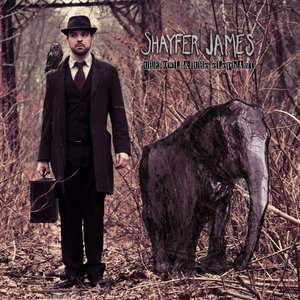 Every Fallen Feather