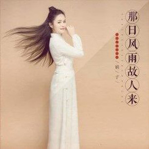 那日风雨故人来 (伴奏)