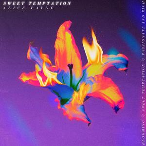 Sweet Temptation (Explicit)