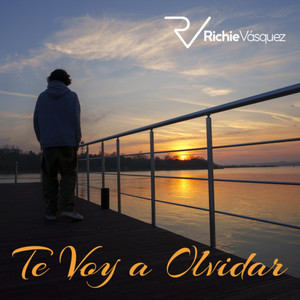 Te Voy a Olvidar