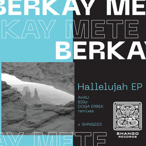 Hallelujah (Original Mix)