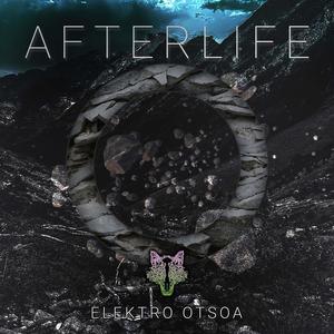 Afterlife