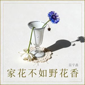家花不如野花香 (伴奏)