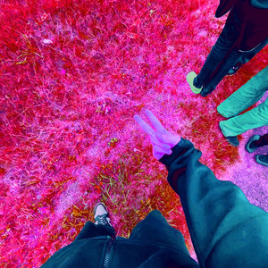 THE LINEUP (Explicit)