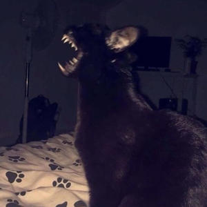 dreamlord (feat. Kazzy Chase) (Explicit)