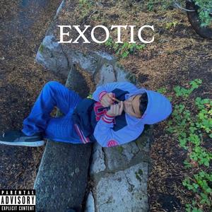 Exotic (Explicit)